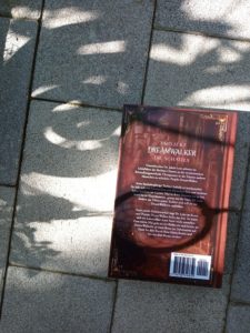 Das Buch liegt auf grauen Steinfliesen, halb in Schatten. Der Klappentext ist zu sehen.